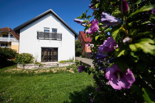 Ferienhaus SWD in Schweigen-Rechtenbach, Deutschland