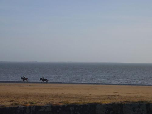 Viesnīcas āriene, Shepherds Walk in Duncannon