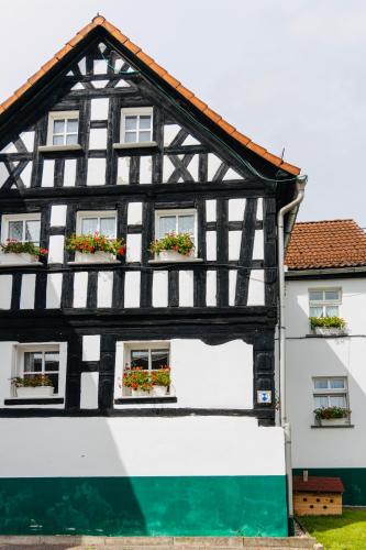 Thuringer Tannenhof Ferienwohnungen in Triptis