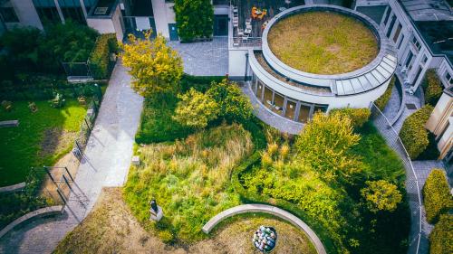 Youth Hostel van Gogh - image 2