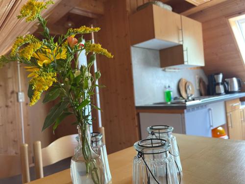 Ferienwohnung mit Sonnenterrasse, Monteursunterkunft, Gästewohnung in Klipphausen, Deutschland