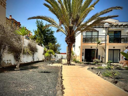 Garten, Aurora at Amaya near Flughafen Fuerteventura