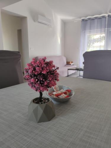 Apartman Olic in Razanac