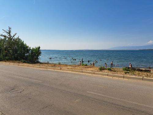 B & R Summer breeze apartments, Nin (fotografie 5)