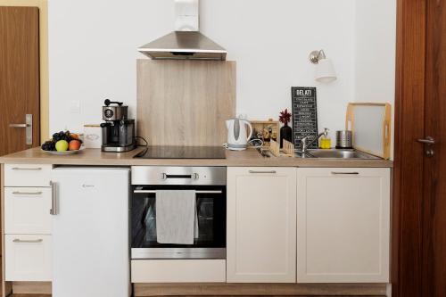 Diamond residence in old town with free parking, Bratislava (foto 5)