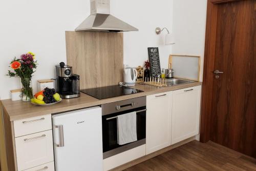 Diamond residence in old town with free parking, Bratislava (foto 8)