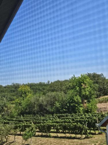 Skats, Kuća za odmor Kustura (Kuca za odmor Kustura) in Iloka
