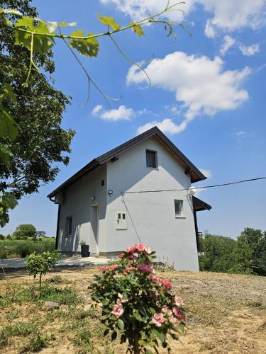 Viesnīcas āriene, Kuća za odmor Kustura (Kuca za odmor Kustura) in Iloka