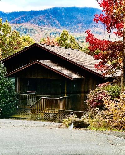 MountScape, Escape to the Mountains! Private hot tub, MTN views in Gatlinburg, USA