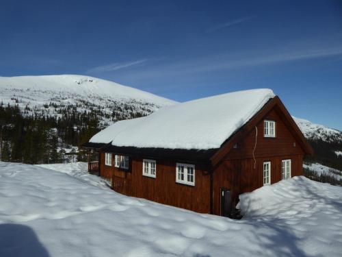 Ny hytte i flott turterreng in Kravik