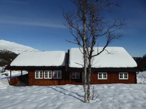 Ny hytte i flott turterreng in Kravik