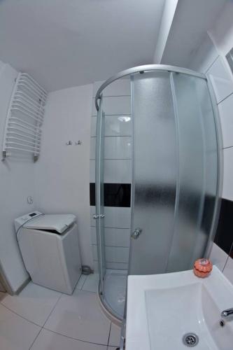 Pokój jednoosobowy do wynajęcia w mieszkaniu Pokój jednoosobowy do wynajęcia w mieszkaniu