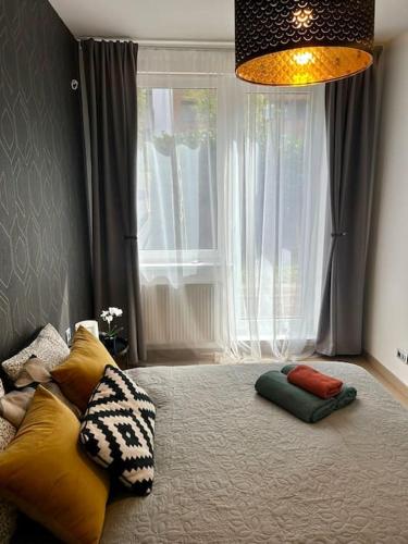 Garden appt - 40m2 terrace, free garrage parking, Bratislava (fotografie 7)