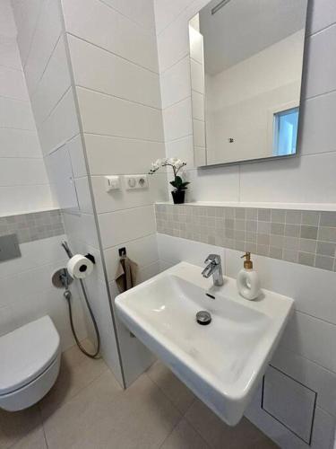Garden appt - 40m2 terrace, free garrage parking, Bratislava (fotografie 9)