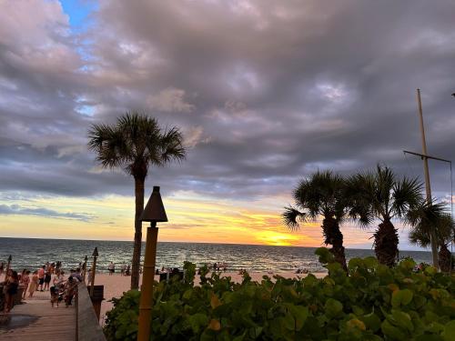 The Pickleball Haven of Naples - Gray Supreme