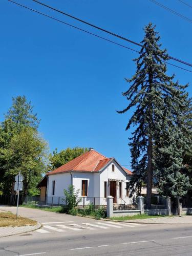 Bela Vila, Banja Koviljača