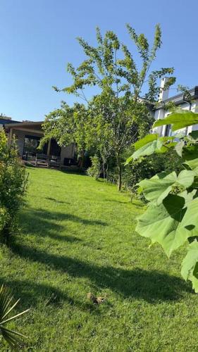 Escape to the peaceful countryside, Istanbul (Foto 7)
