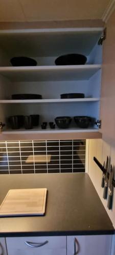 Tur og sentrumsnær sokkel-leilighet in Опдал