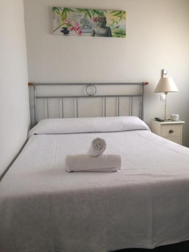 1 twin bed