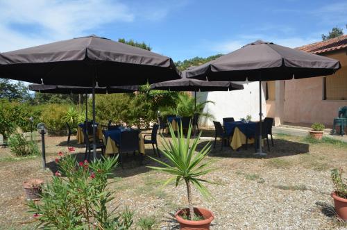 Agriturismo Masseria Castiglione in Missanello