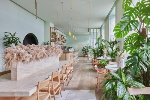 Eden Locke - image 4