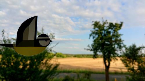 Ferienwohnung Butterbirne in Niedergorsdorf