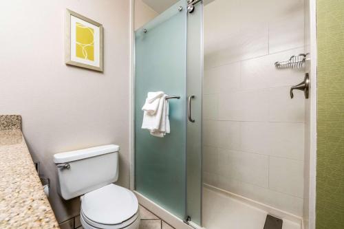 Comfort Inn at Buffalo Bill Village Resort - image 8
