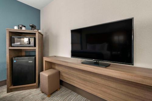 Comfort Inn & Suites Downtown Brickell-Port of Miami - image 8