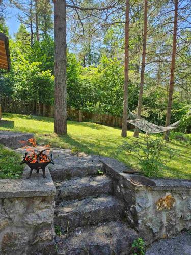 Apkārtne, Vila Tatjana-Zlatibor in Drijetanj