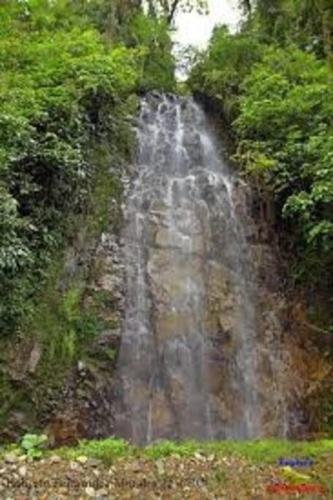 Sergio's House Sergio's House