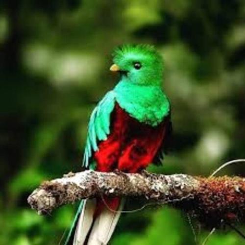 Sergio's House Sergio's House