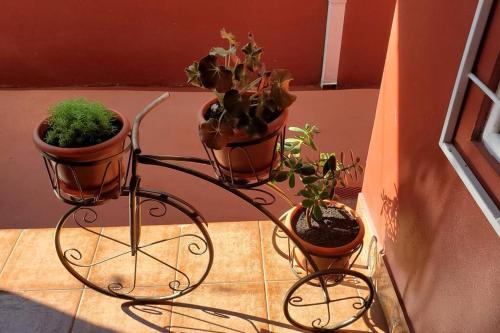 Sergio's House Sergio's House