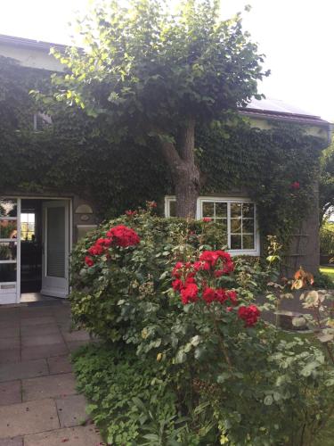 kleine Ferienwohnung INSELHUUS in Nordstrand, Deutschland