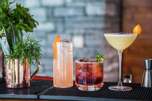 Suite Appartement 713