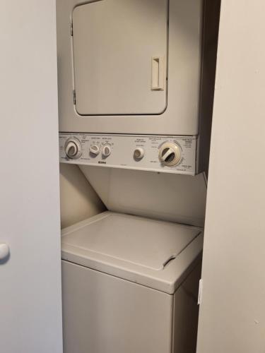 Paddle in the sunset with Manatee, Hudson (foto 3)