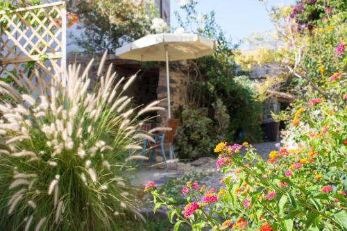 Domo Bangone - Sa Corte