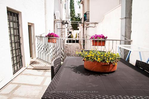 Iannet & Co., Locorotondo (foto 3)