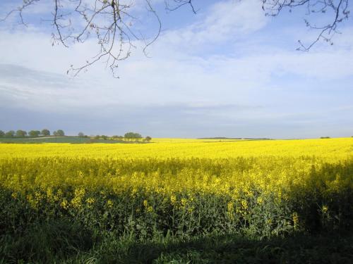 Kleine Auszeit in Reimershagen
