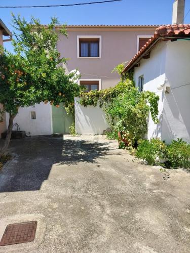 ilkay's House