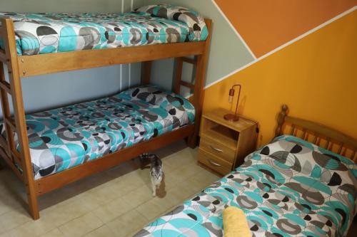 Two-Bedroom House image 4