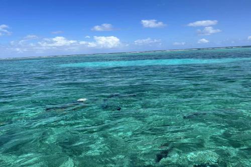 Residences at Barrier Reef 10-2B Oceanfront 2 BR by Stay Floreo, San Pedro (fotografie 11)