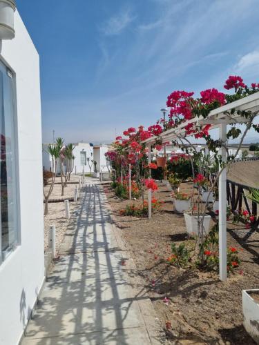 . Condominio Maradentro - Casa de Playa CERRO AZUL - CAÑETE