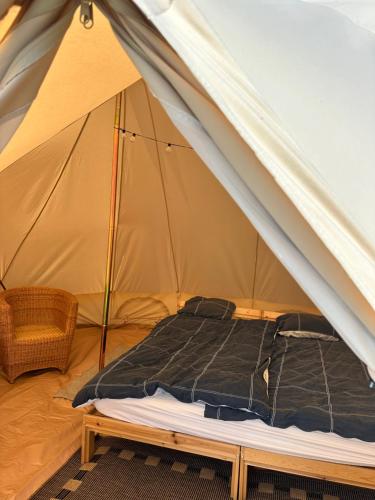 Glamping tent at møn in Stege
