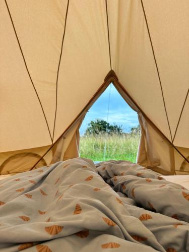 Glamping tent at møn in Stege