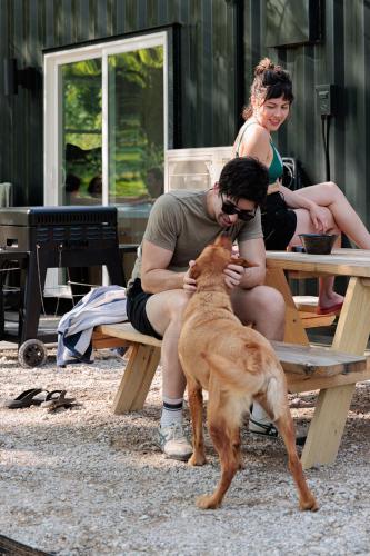 Ilex Forest Retreat Blackthorn Ilex Forest Retreat Blackthorn