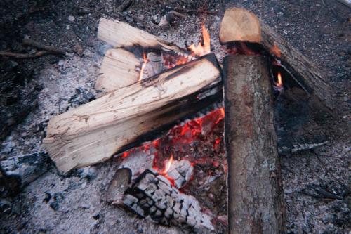 Ilex Forest Retreat Blackthorn Ilex Forest Retreat Blackthorn