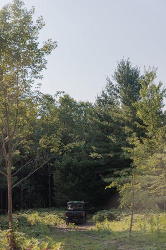 Ilex Forest Retreat Blackthorn Ilex Forest Retreat Blackthorn