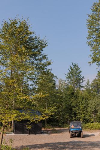 Ilex Forest Retreat Blackthorn Ilex Forest Retreat Blackthorn