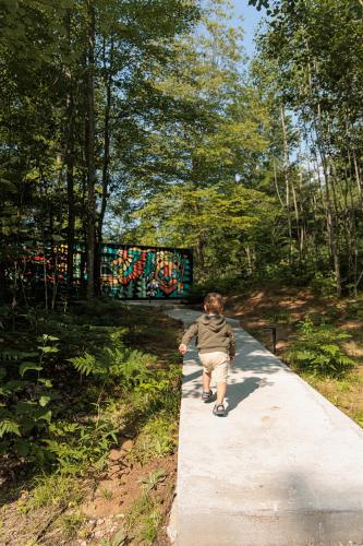 Ilex Forest Retreat Blackthorn Ilex Forest Retreat Blackthorn