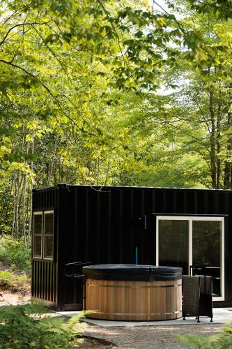 Ilex Forest Retreat Blackthorn Ilex Forest Retreat Blackthorn